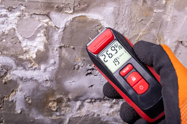 Office Mold Removal Services in Hampstead, MD