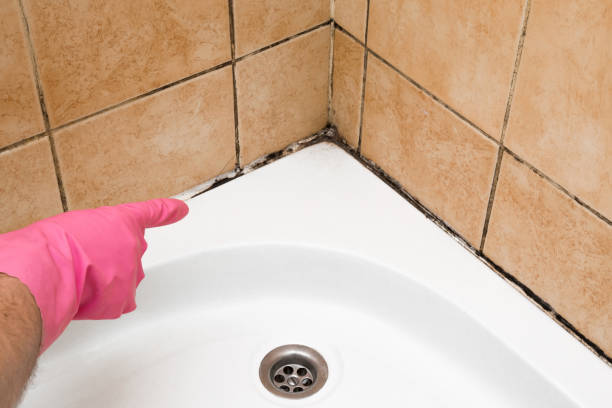 Best Office Mold Removal Services  in Hampstead, MD